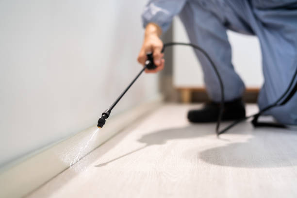Licensed Pest Control service in Quitman, GA - Show Me Pest Control