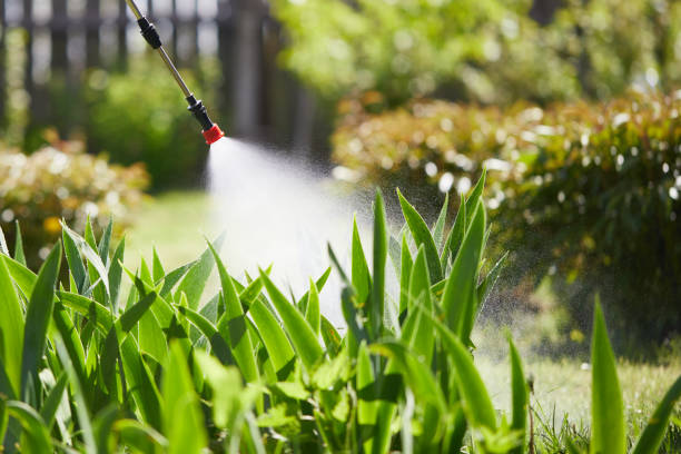 24/7 Emergency Wasp Removal experts in Quitman, GA