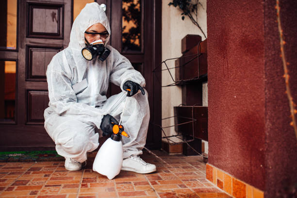 Reliable Wasp Removal contractor in Quitman, GA by Show Me Pest Control
